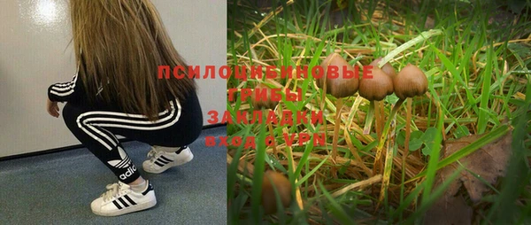 соль курить ск Беломорск