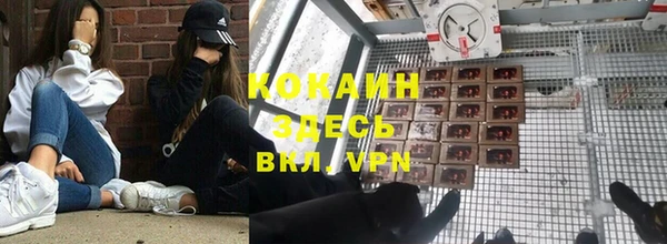 гашик Покровск