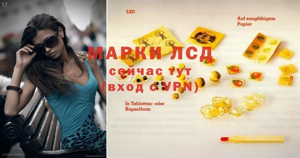 гидра Покачи
