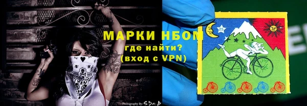 гидра Покачи