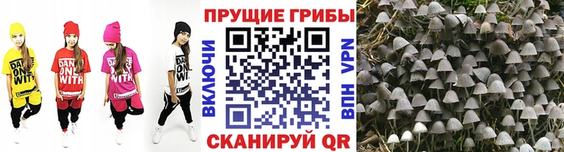 Галлюциногенные грибы мицелий  Маркс 